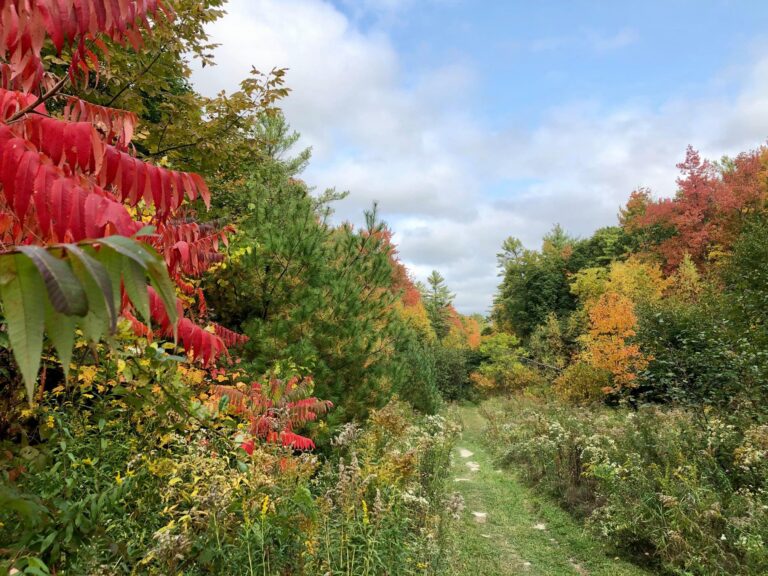 Giving to Kennebunk Land Trust 2