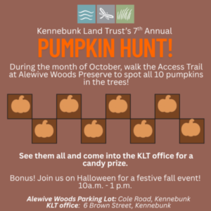 5th Annual Pumpkin Hunt at Alewive Woods Preserve 1