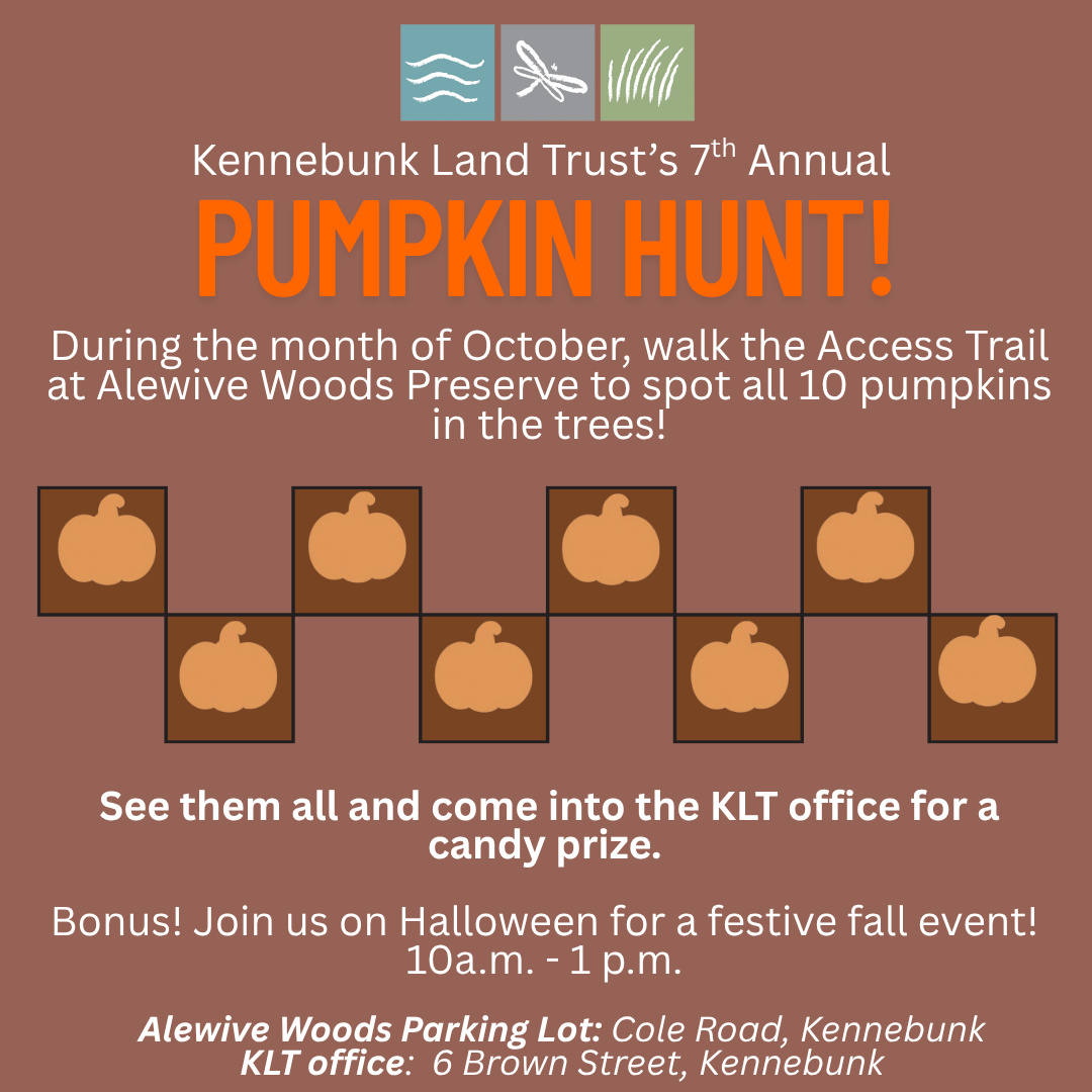 Fall Fun Events with KLT 1
