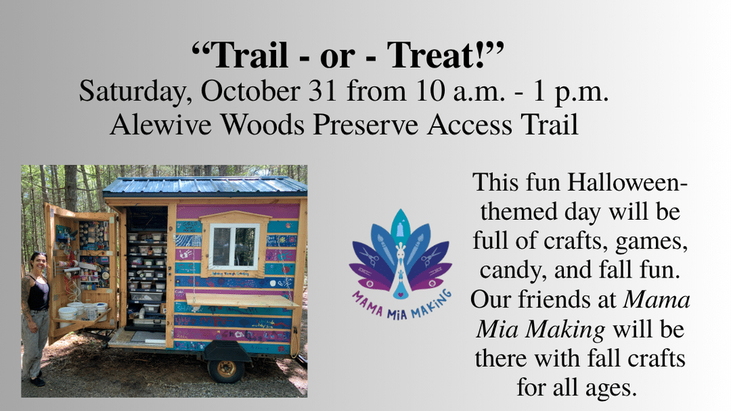 Fall Fun Events with KLT 3