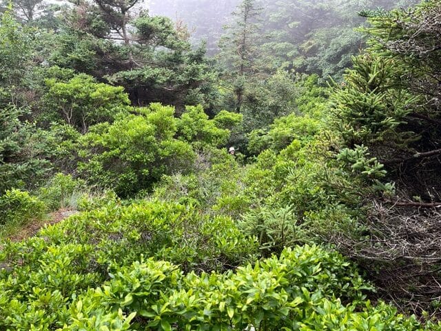 Giving to Kennebunk Land Trust 3