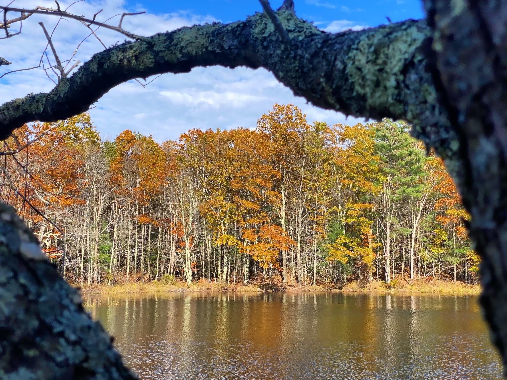 FAF in FAll_PC Kate Borland FAF in FAll_PC Kate Borland