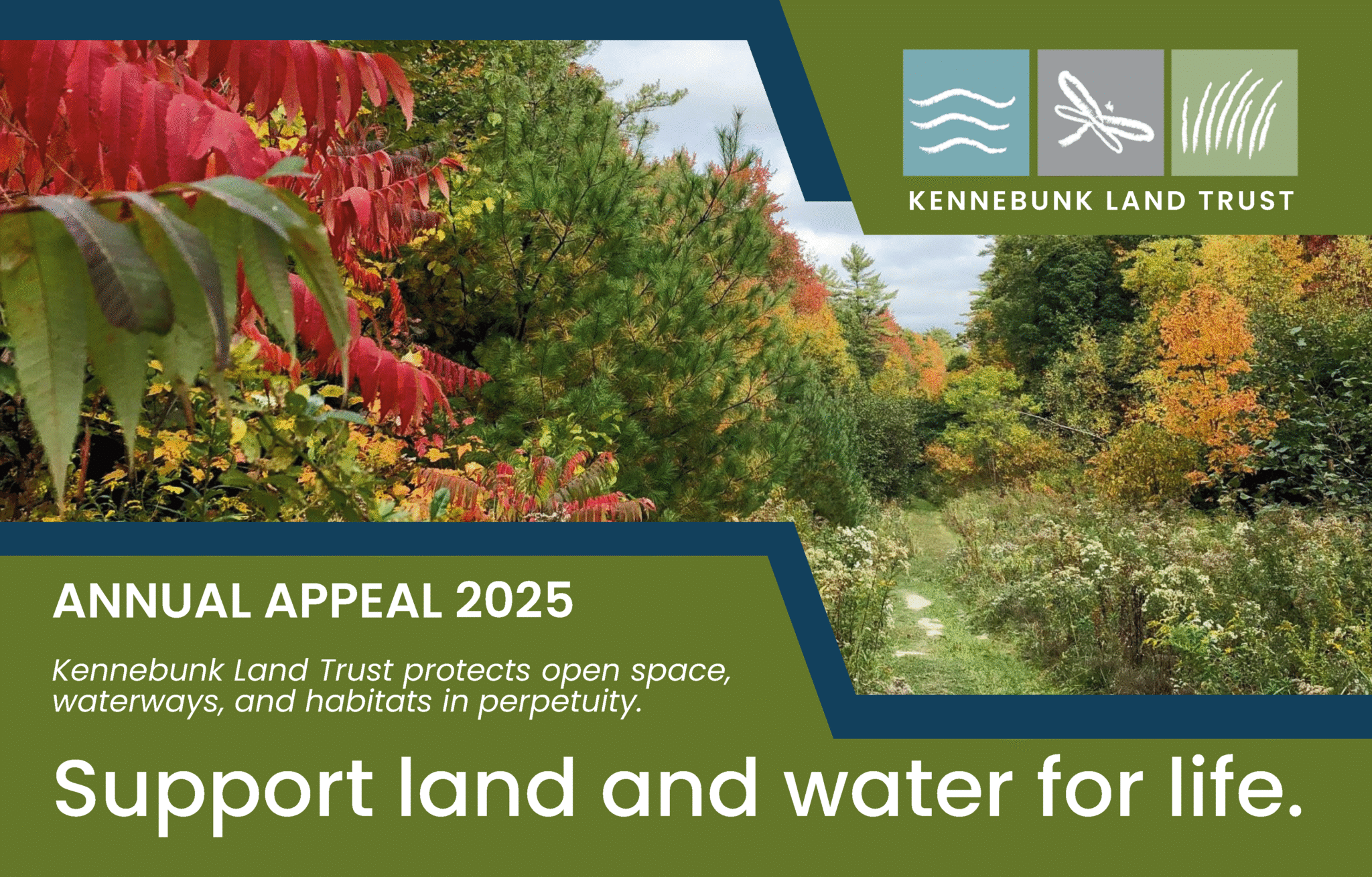 Kennebunk Land Trust Protecting The Natural Areas Of Kennebunk Kennebunk Land Trust Protecting The Natural Areas Of Kennebunk