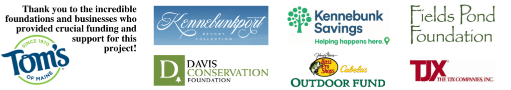 Alewive Woods Accessible Trail Campaign 3