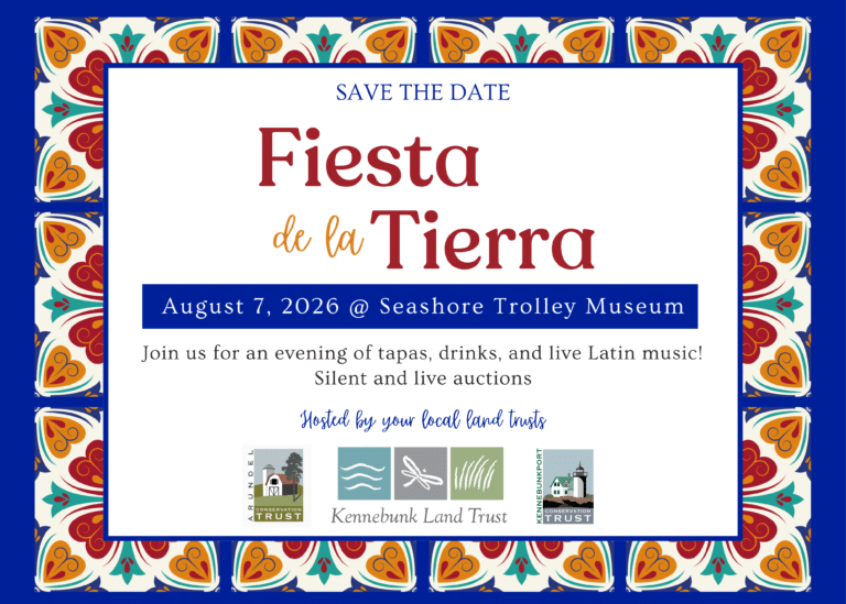 Fiesta de la Tierra