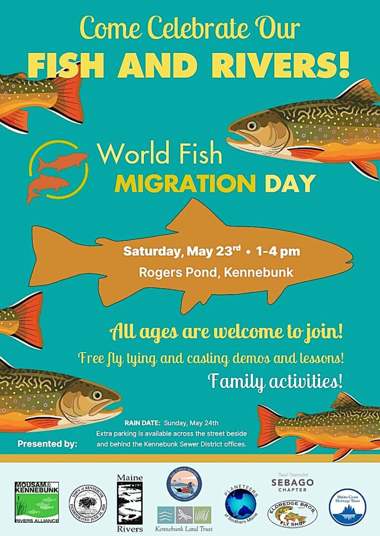 World Fish Migration Day event at Rogers Pond