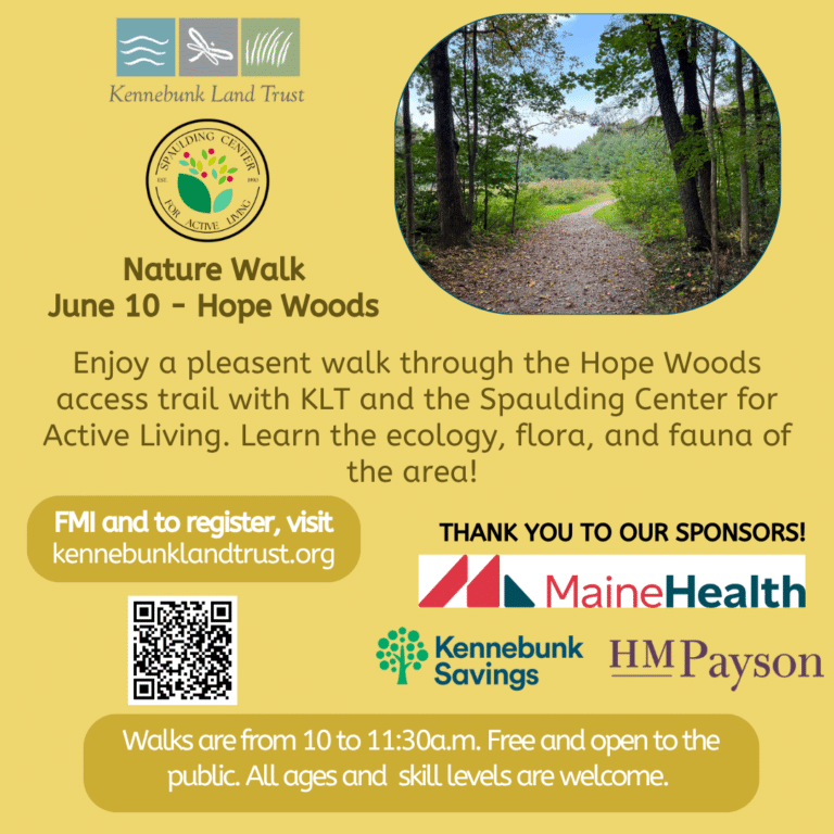 June Nature Walk at Hope Woods Preserve