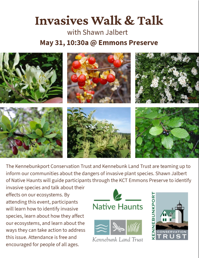 Unique Walk Event, May 31st: Invasives Walk & Talk with Shawn Jalbert 1