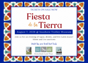 Fiesta de la Tierra 2