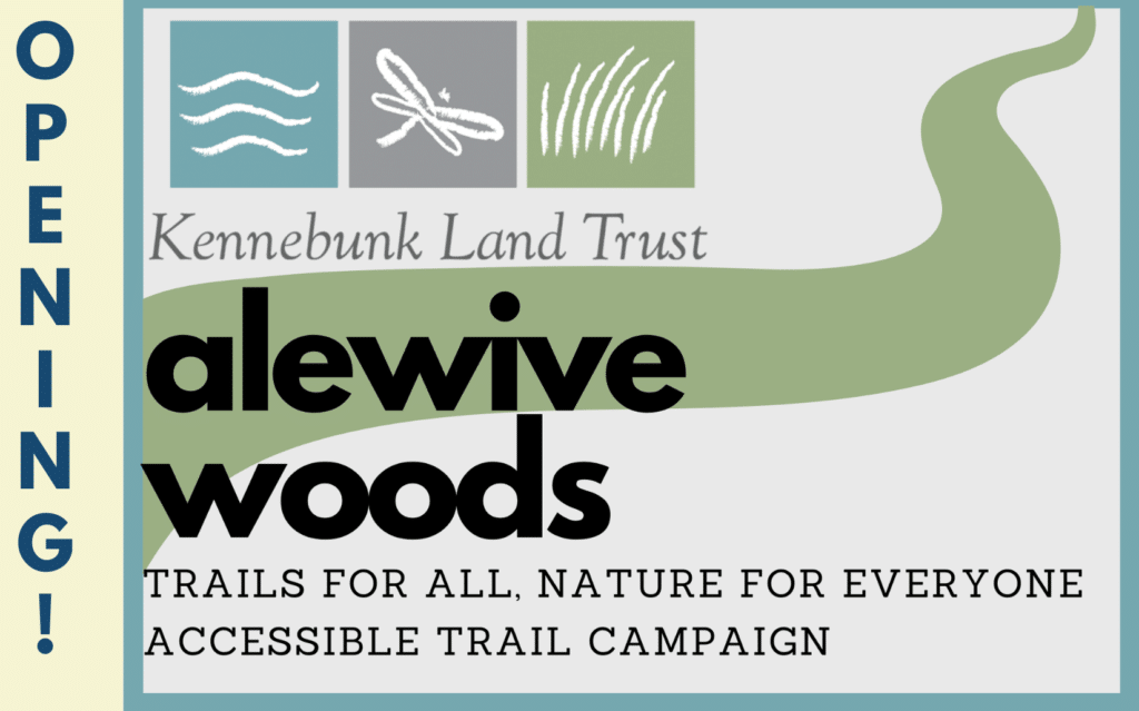 The Alewive Access Trail is opening! 1
