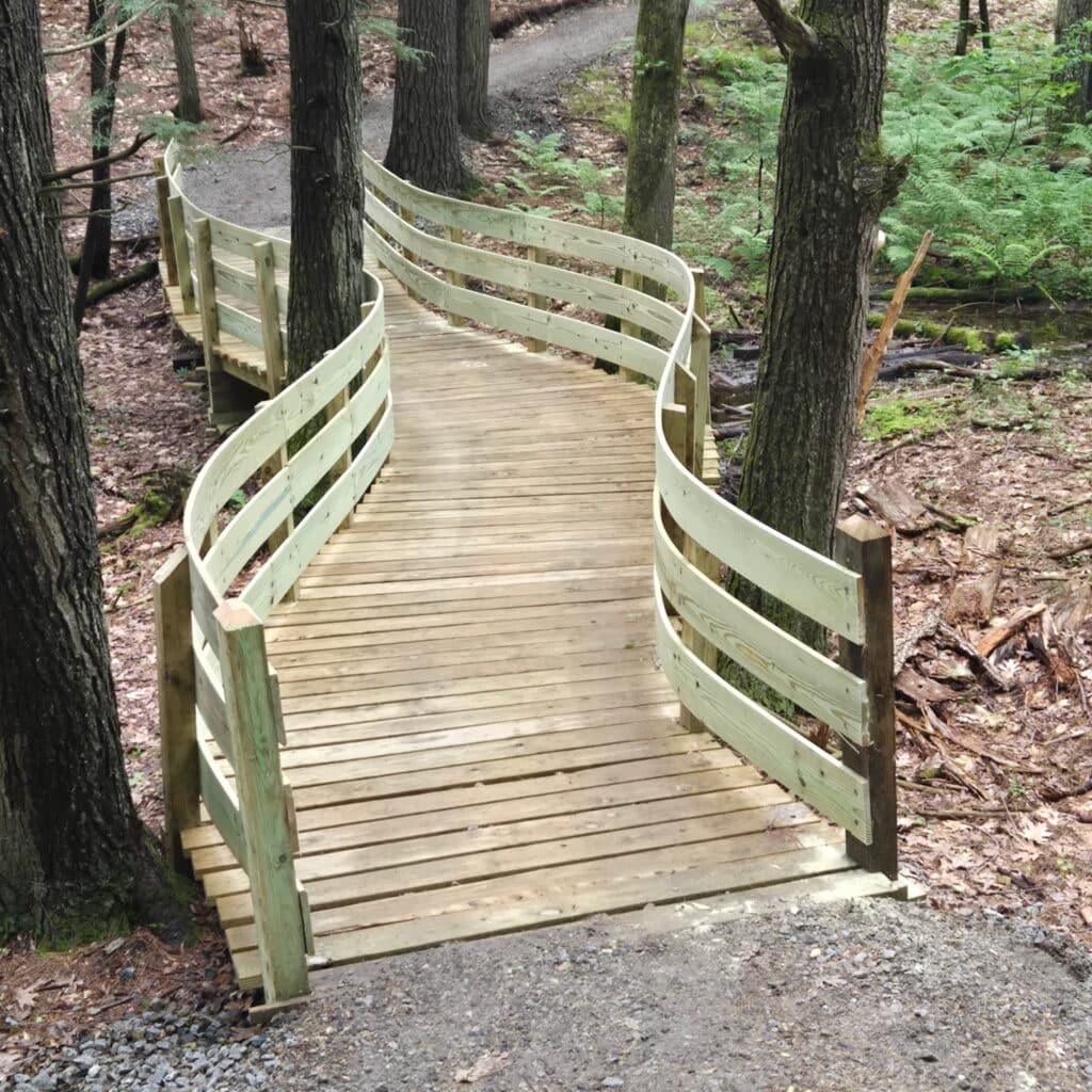 Alewive Woods Accessible Trail Is Now Open! 1