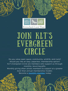 Join KLT's evergreen circle (1)