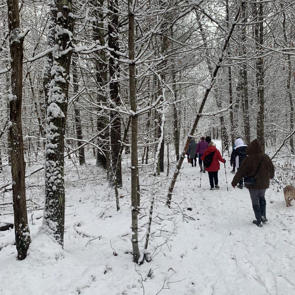 Winter trail walking